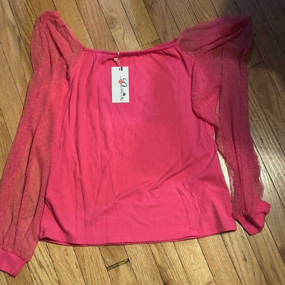 Plus Size‎ Women's Pink Sheer Long-Sleeved Top Shirt Blouse 2X NWT - Picture 1 of 1